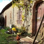 BOURGEAIS Roger